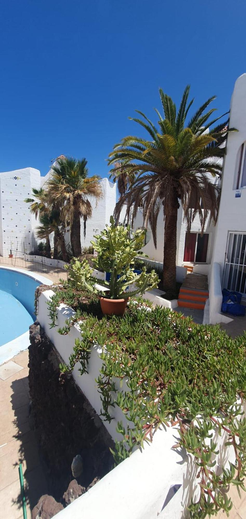 Wonderful White Appartament In Las Tortugas Playa de las Americas  Exteriör bild