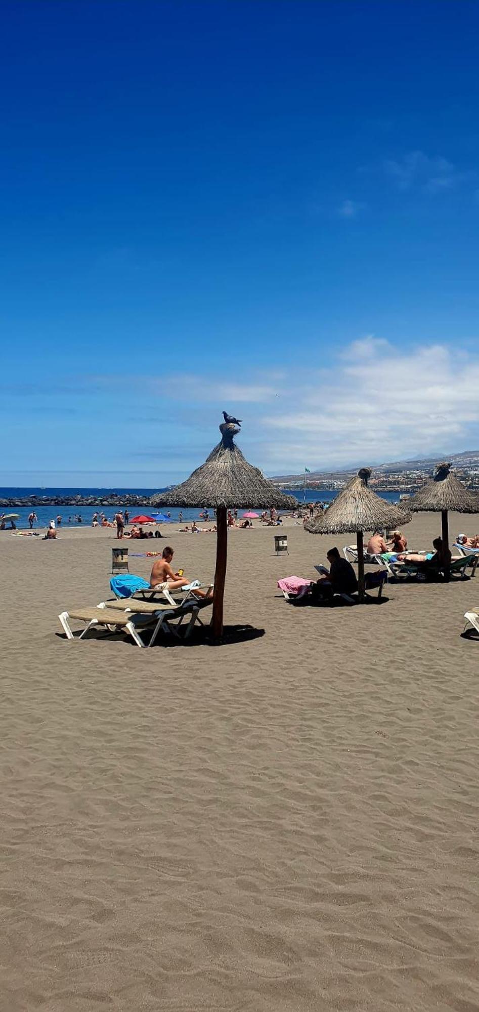 Wonderful White Appartament In Las Tortugas Playa de las Americas  Exteriör bild