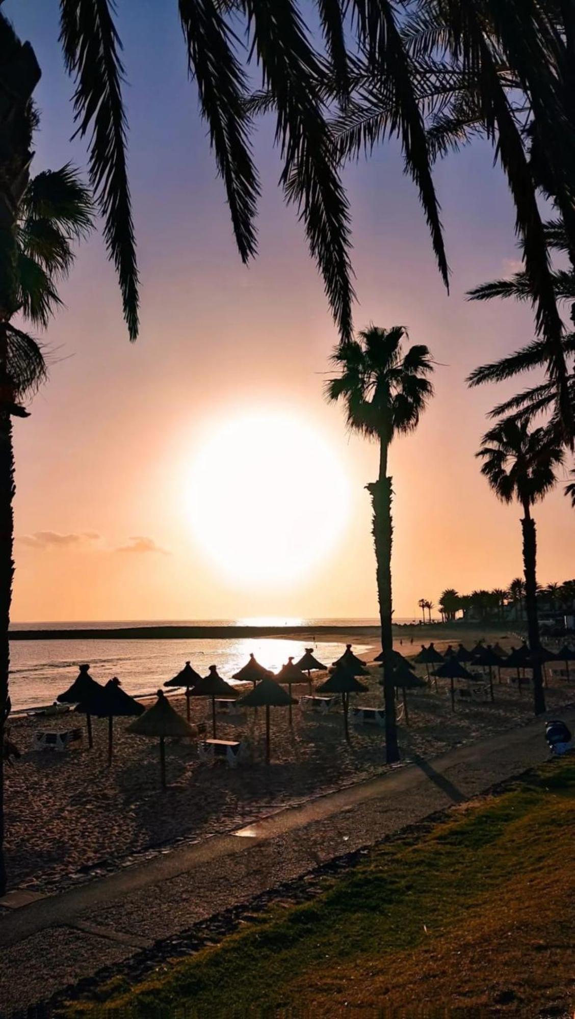 Wonderful White Appartament In Las Tortugas Playa de las Americas  Exteriör bild